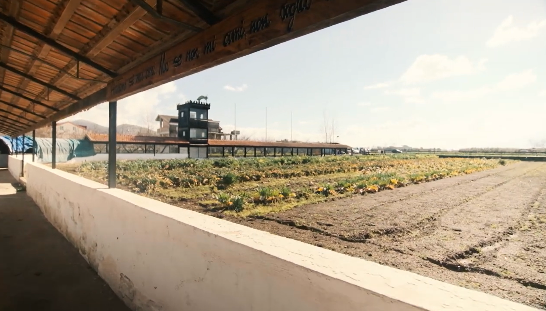 Orto e campi coltivati sotto la tettoia della masseria