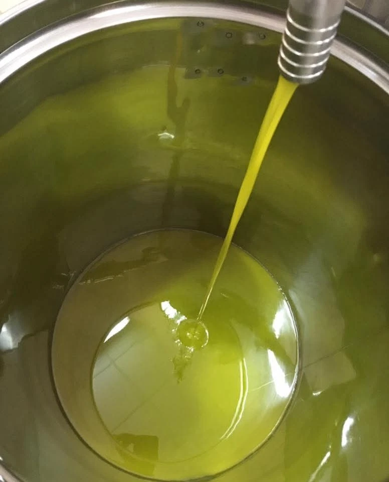 L'olio nuovo che scende nel contenitore di acciaio