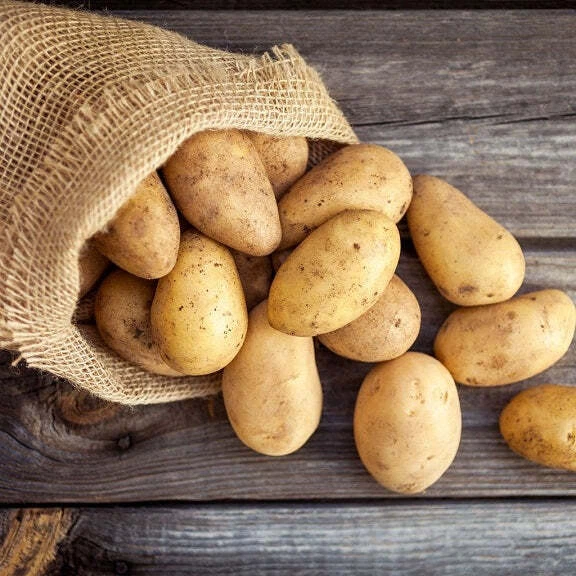 Patate novelle appena raccolte, in un sacco di juta